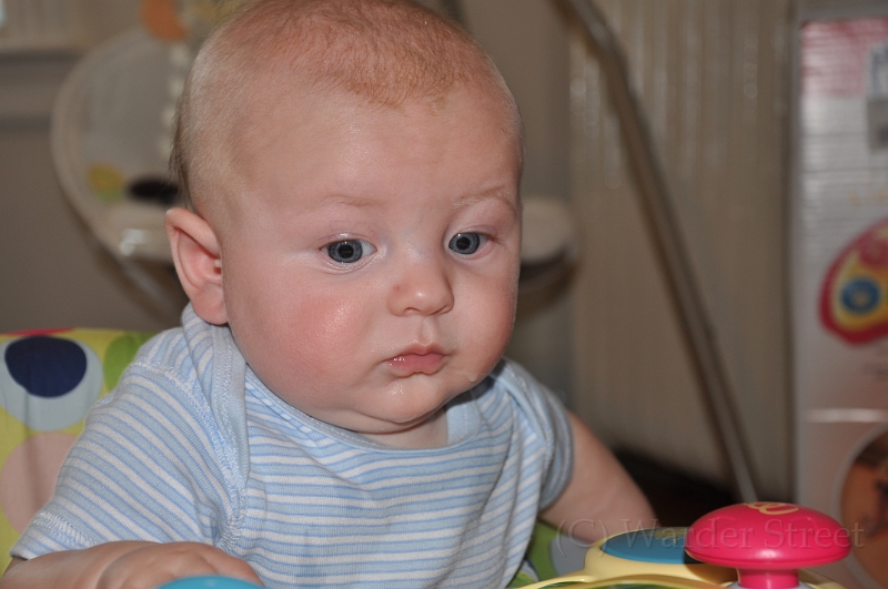 William's Sixteenth Week 07.jpg